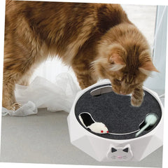 71VZoWq5gWL._AC_SL1246.webp