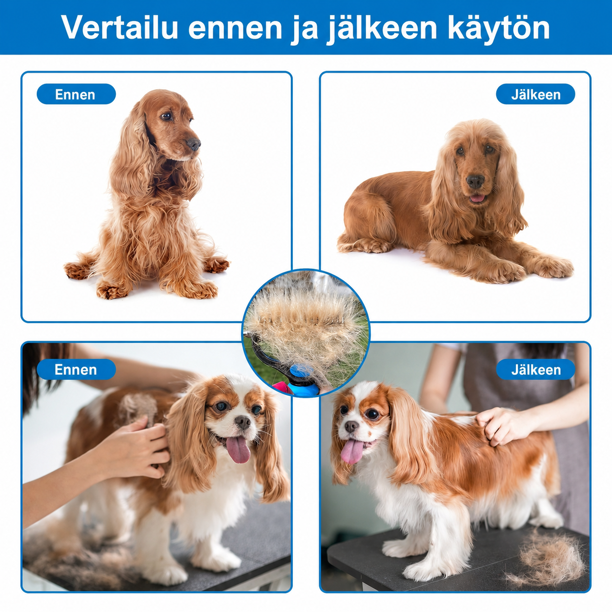 c9f0f895fb98ab9159f51fd0297e236d_fbed58e0-2b62-472e-9161-da68e0de9f98.png