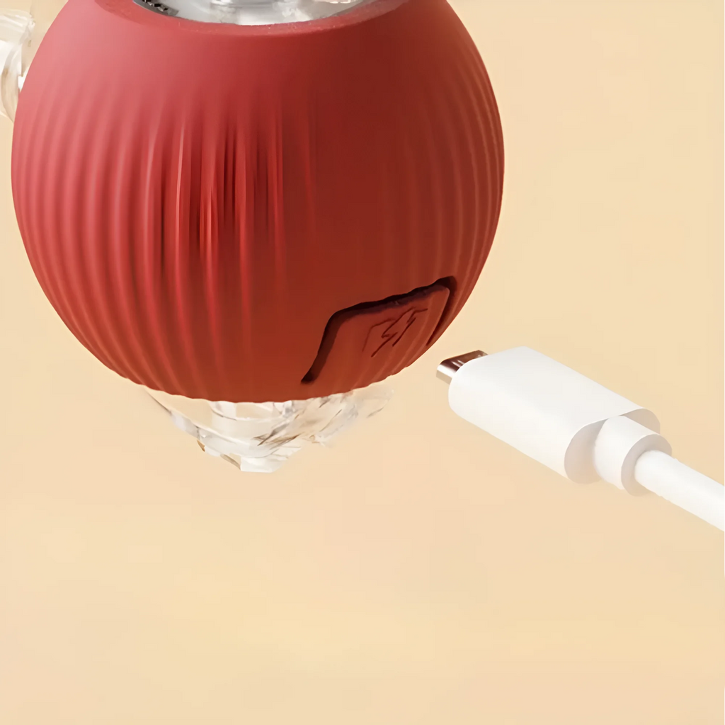img_5_b1093c4a-1720-413a-9f03-29a6b45d4c21.webp